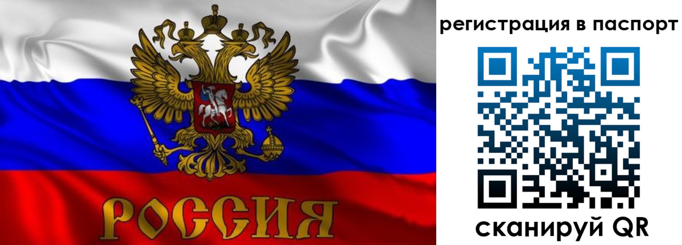 найти адрес прописки в Канаше